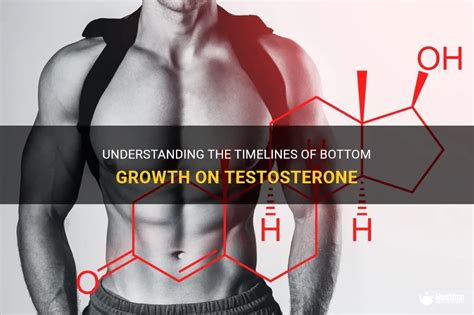 bottom growth meaning|Understanding The Timelines Of Bottom Growth On Testosterone